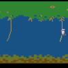Jungle Hunt - Image 4