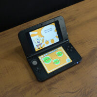3DS XL